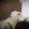 The Diamond Halo Engagement Ring - Princess/Pear