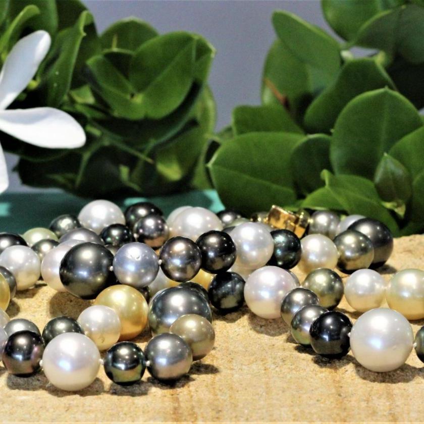 The Long South Sea Pearl Strand