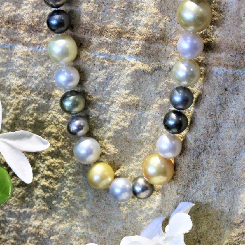 The Long South Sea Pearl Strand